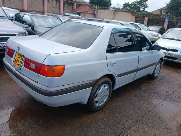 A picture of Premio 13m 0757229773