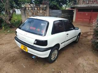 A picture of Starlet