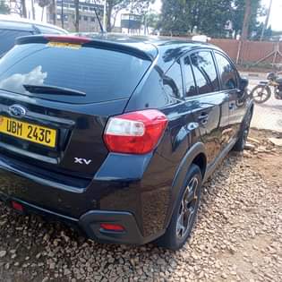 A picture of Xv UBM 36 5m 0705471381