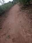 A picture of 2 fertile acres on sale both at 21m titled with