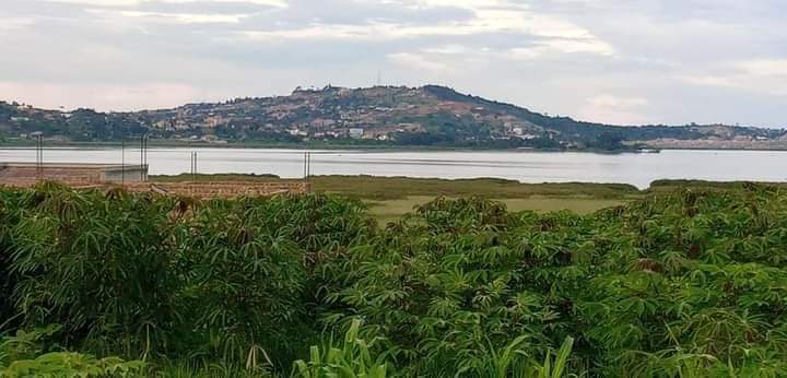 houses entebbe