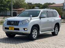 A picture of PRADO