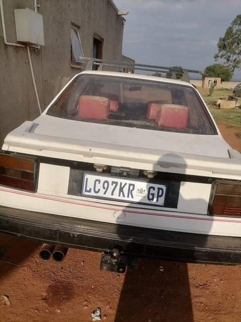 Sipho N.