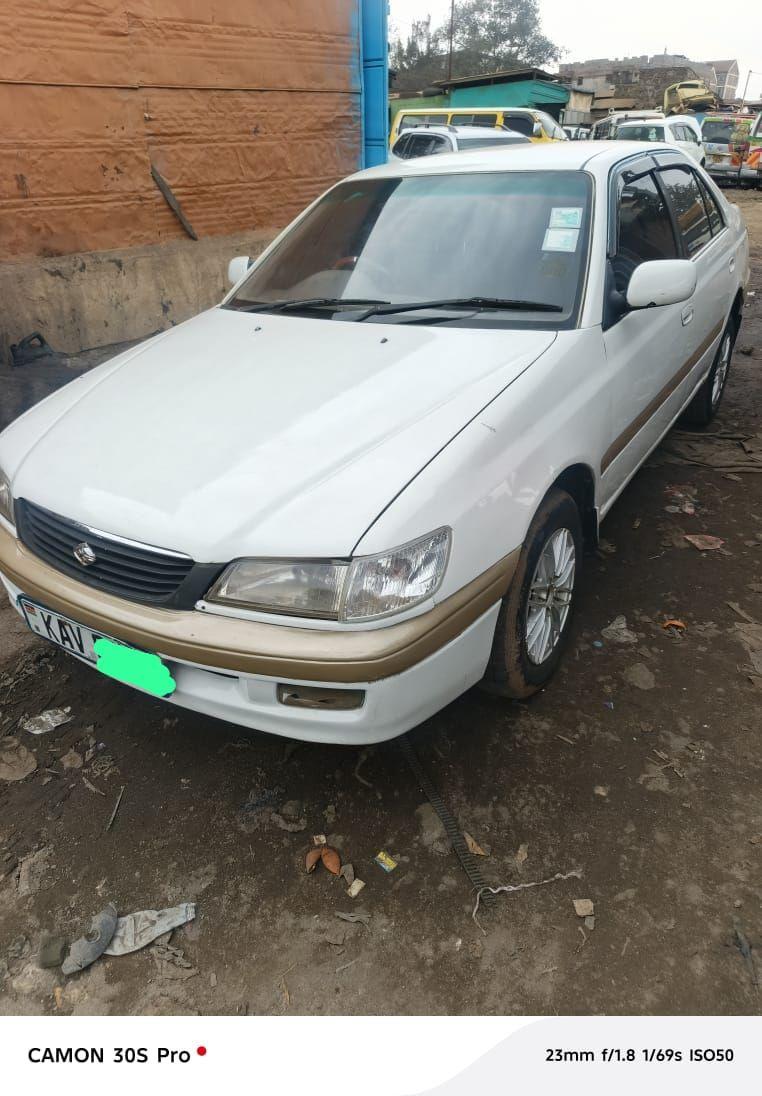 A picture of Premio nyoka quick sale