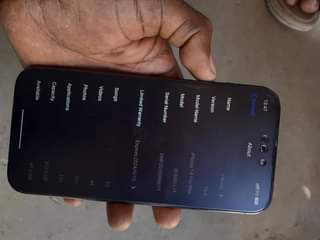 A picture of Pro max copy