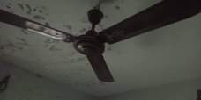 A picture of Ceiling Fan