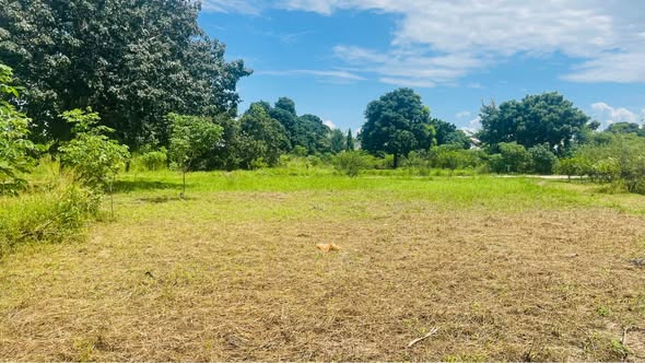 A picture of Property for sale