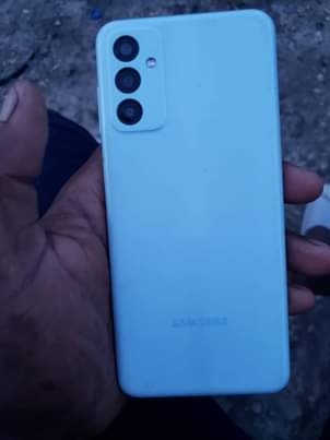 A picture of Samsung F 13