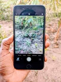 A picture of Iphone 7 plus imenyooka hii gb128 bh99 finger saaf