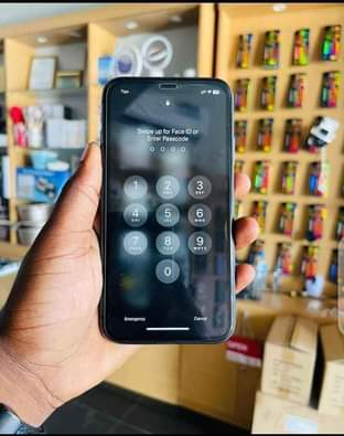 A picture of iPhone 11 plain