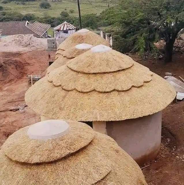 Kzn C.