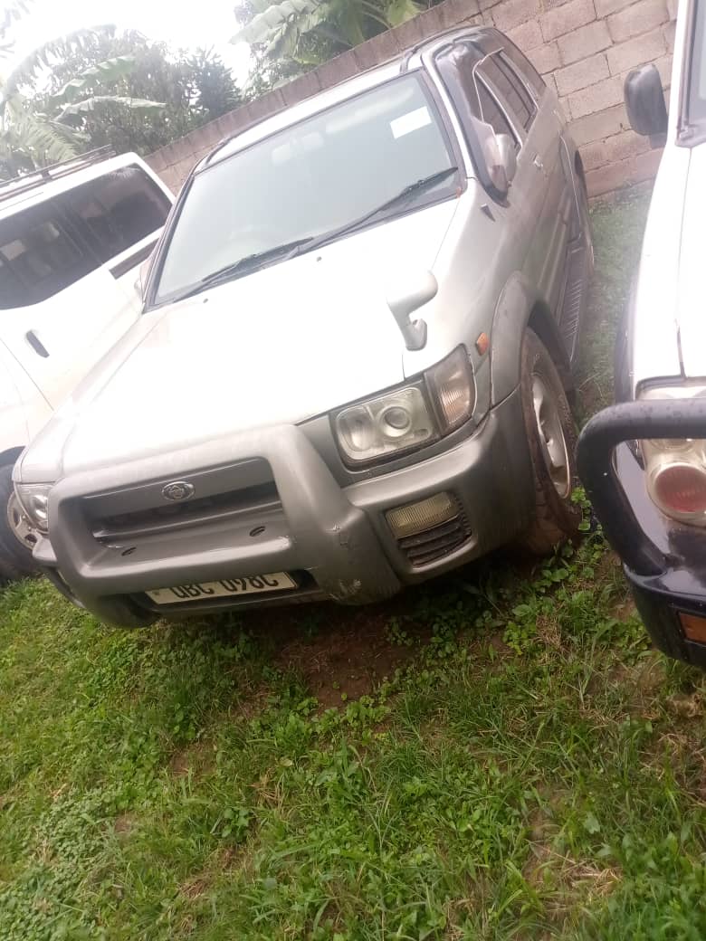 A picture of Terrano
