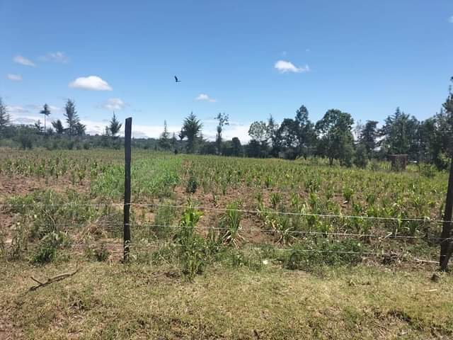 makutano plots