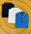 A picture of T shirt
