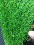 A picture of Artificial grass carpets 0703836818 0776763178.