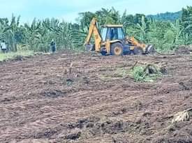 A picture of MAZIMA BISOBOKA get your own plot to day New site