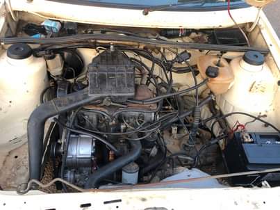 VW's F.