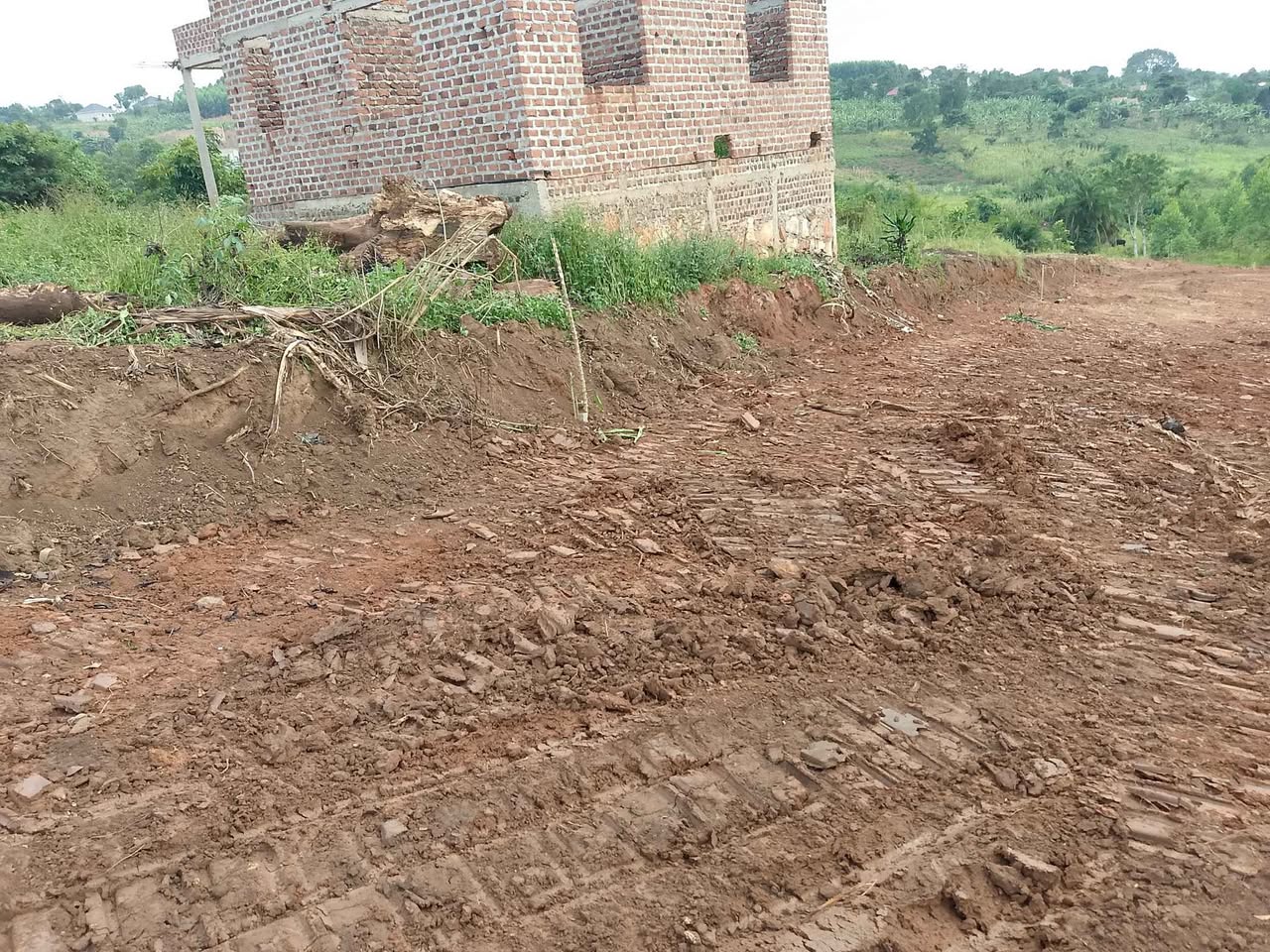 A picture of Plots on quick sale at Kakiri Ugx 12M title