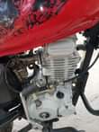 A picture of Boxer 125 cc