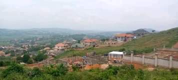Luta K.