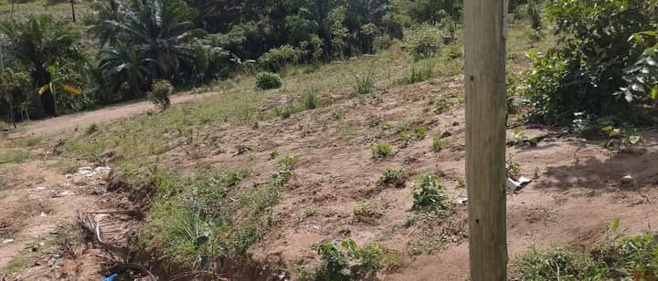 A picture of Kiwanja kinauzwa Tegeta A mtaa wa Bafaka sqm 1 800