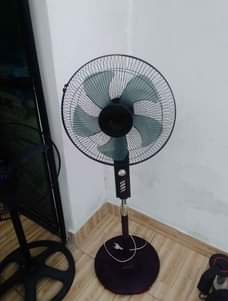 A picture of Feni