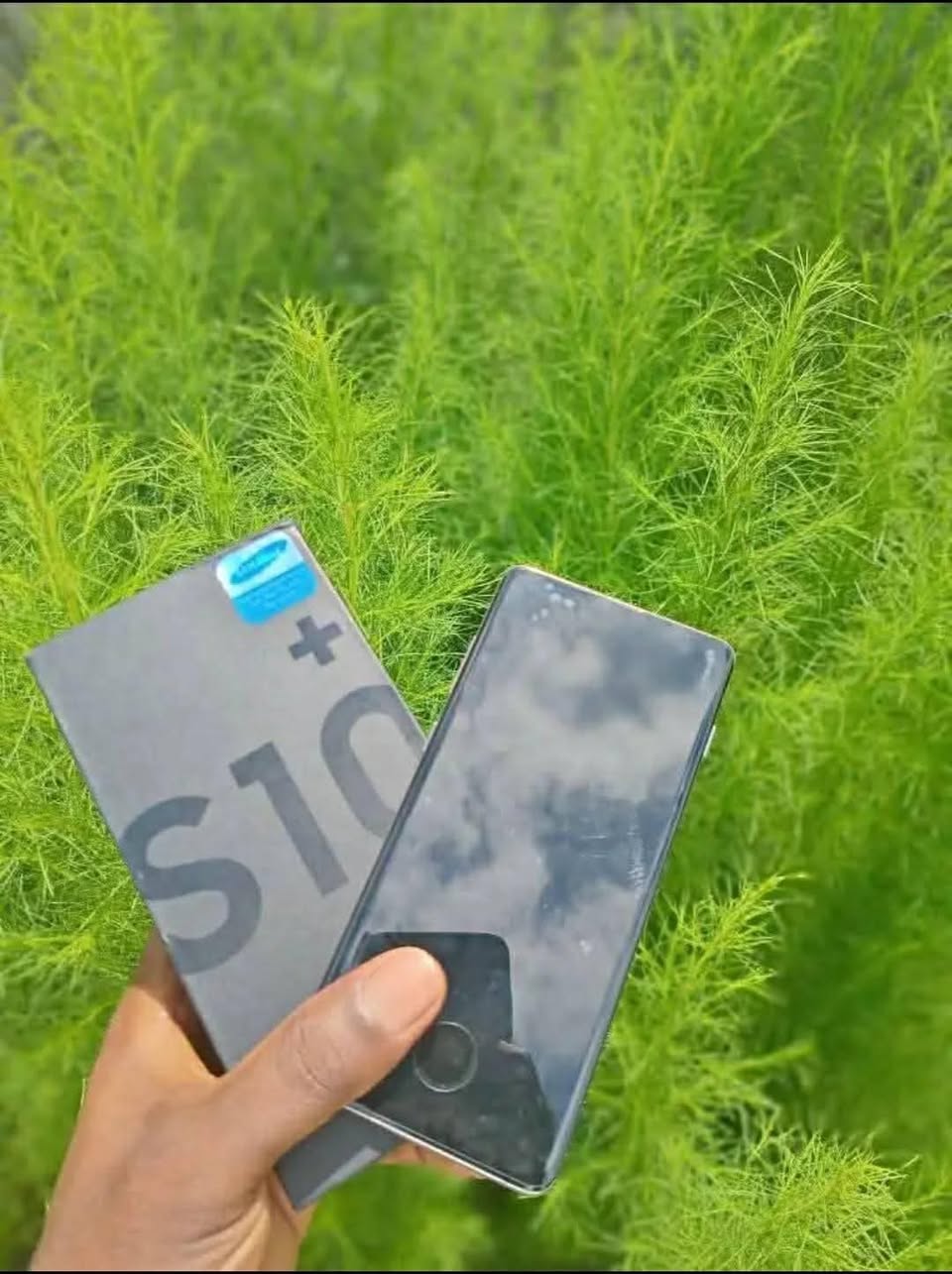 A picture of Samsung s10plus new model