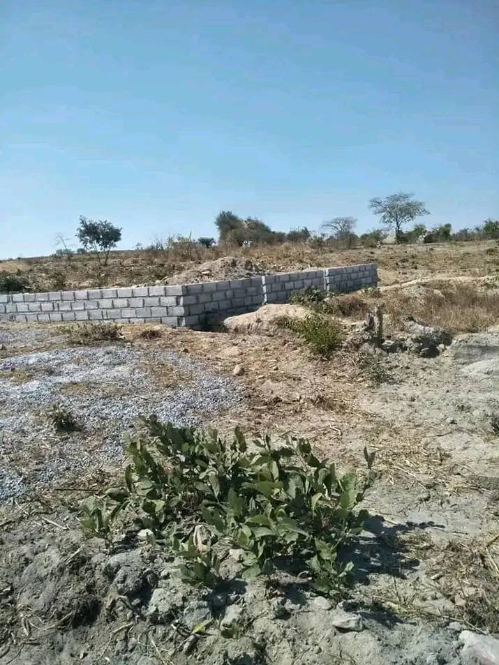 zambia plots