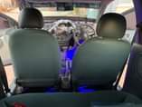 A picture of Gari aina ya vitz