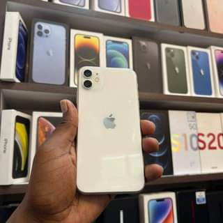 Apple K.