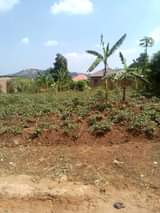 A picture of 12km title plot for 13m up for grabs Plot is