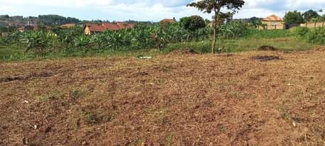 A picture of Kira Nsasa 90X90ft Plot For Sale