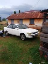A picture of Kikumi