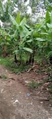 A picture of Kiwanja kinauzwa