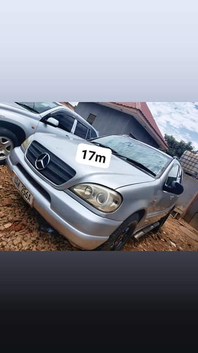A picture of Used cars on sale