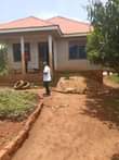 A picture of Buloba mityana house cheap but on quick sale