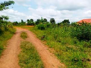 A picture of Urgent money is needed urgently tomorrow or next day. Plot