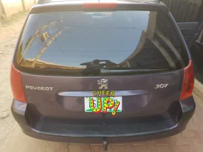 A picture of Peugeot 307 2007