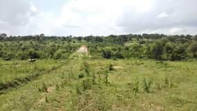 A picture of Plots for sale Namayumba Tarmac Viewing Estate