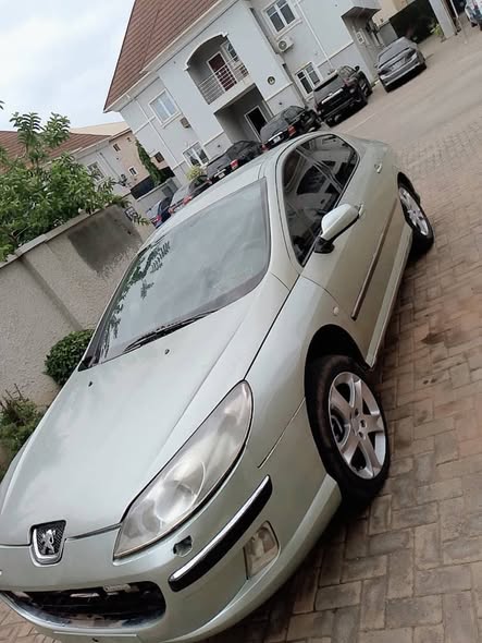A picture of Automatic Peugeot 407