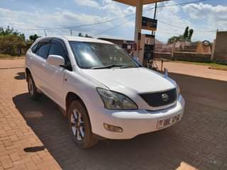 A picture of Harrier kawundo