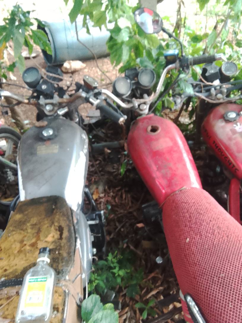 bikes