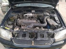 A picture of Starlet