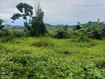 A picture of Land and property