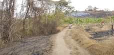 A picture of Shamba linauzwa Msanga wilaya ya kisarawe laki 4 EKALI 1