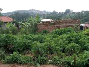 A picture of Plots for sale in Nabingo Masaka Rd Size 30 40fit