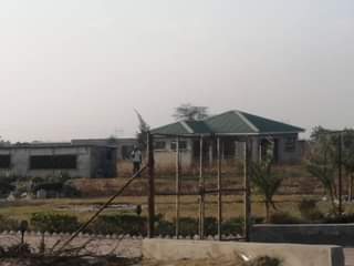 stands