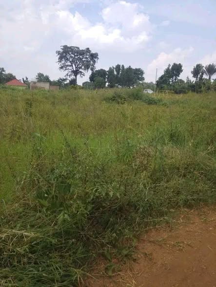 uganda plots
