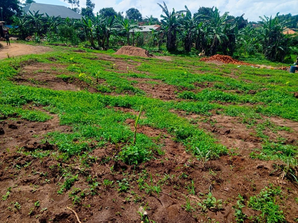 A picture of TITTLED PLOTS FOR SALE