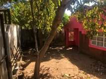houses for sale